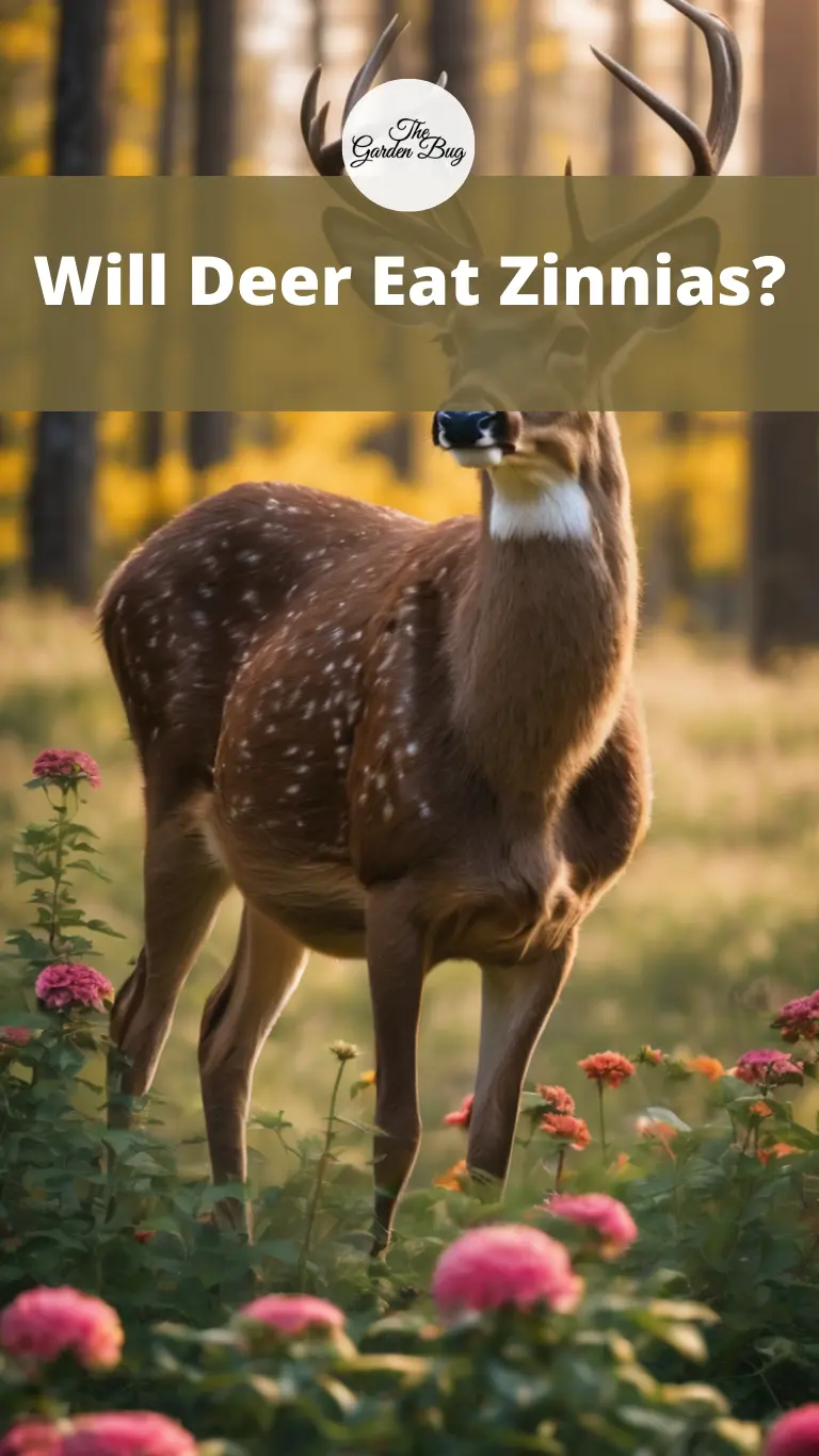Will Deer Eat Zinnias?