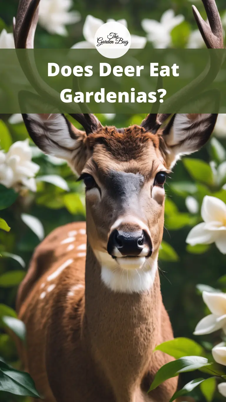Does Deer Eat Gardenias?