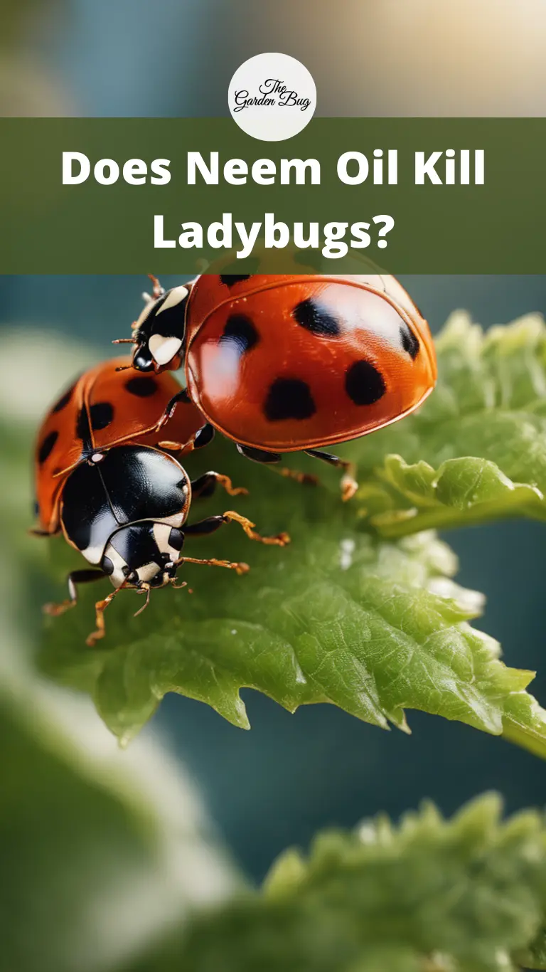 Does Neem Oil Kill Ladybugs?