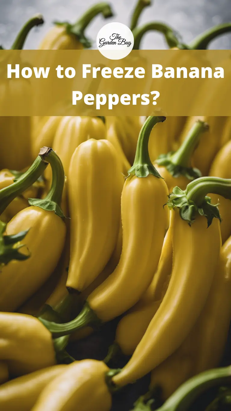 How to Freeze Banana Peppers?