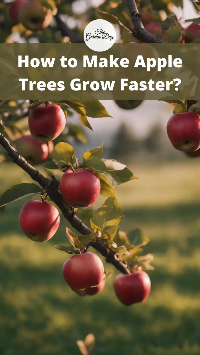 How to Make Apple Trees Grow Faster?