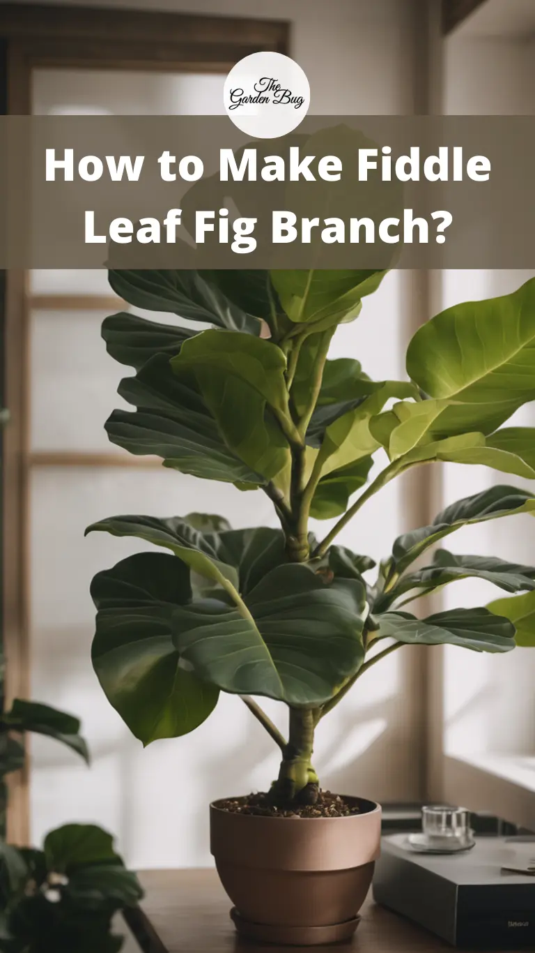 How to Make Fiddle Leaf Fig Branch?