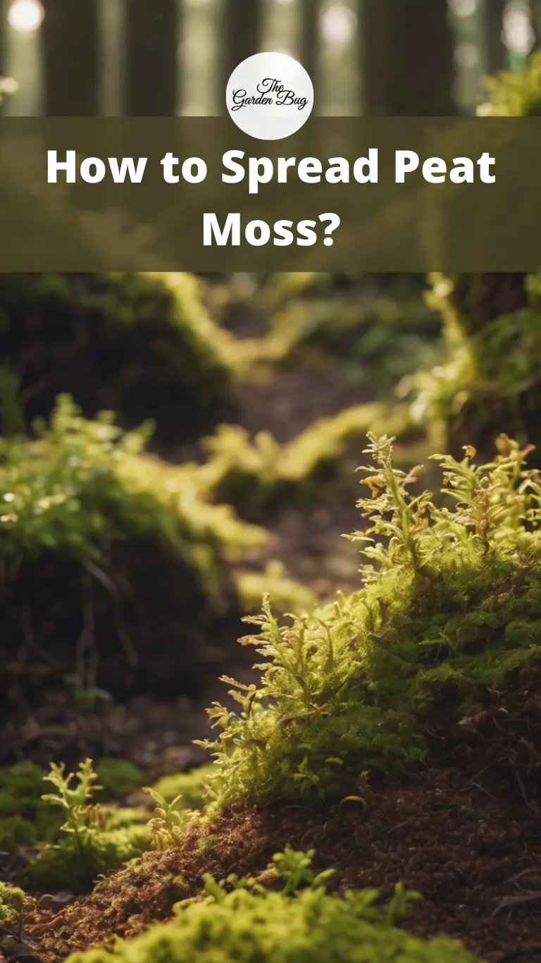 How to Spread Peat Moss?
