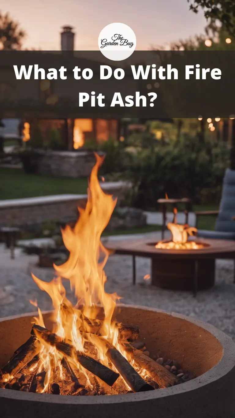 What to Do With Fire Pit Ash?