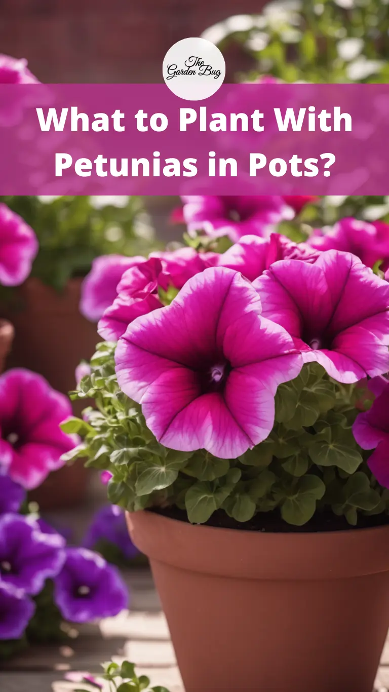 What to Plant With Petunias in Pots?